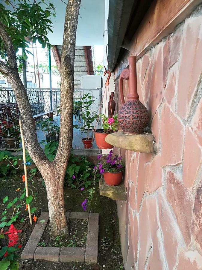 Runo Guest House 가그라 외부 사진