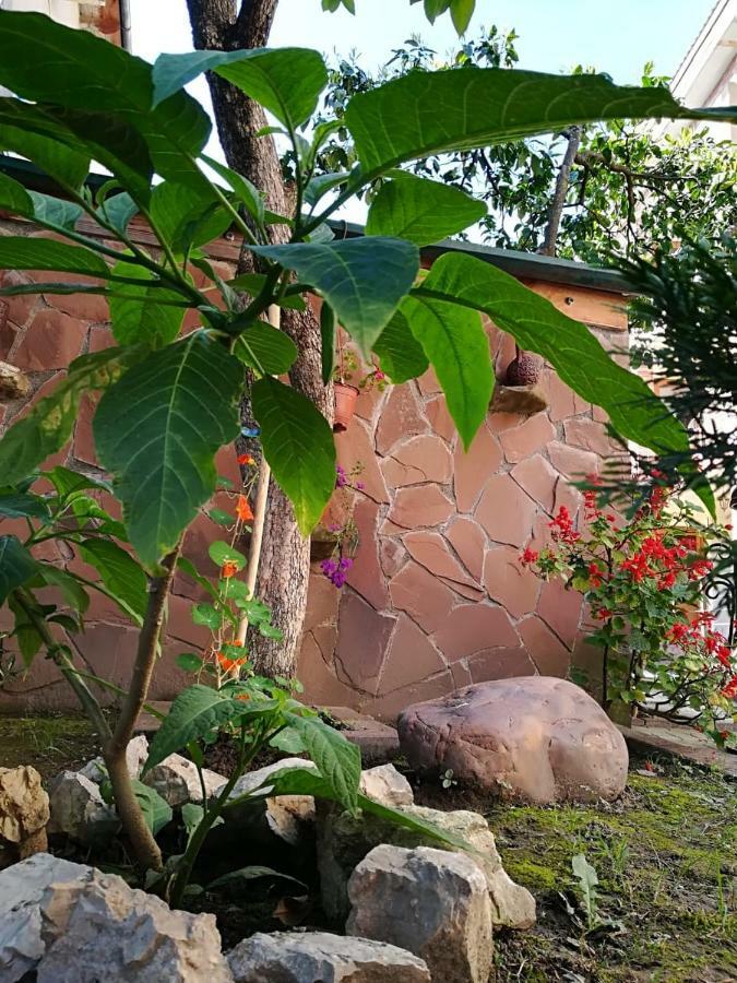 Runo Guest House 가그라 외부 사진