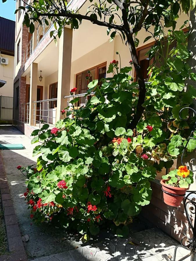 Runo Guest House 가그라 외부 사진